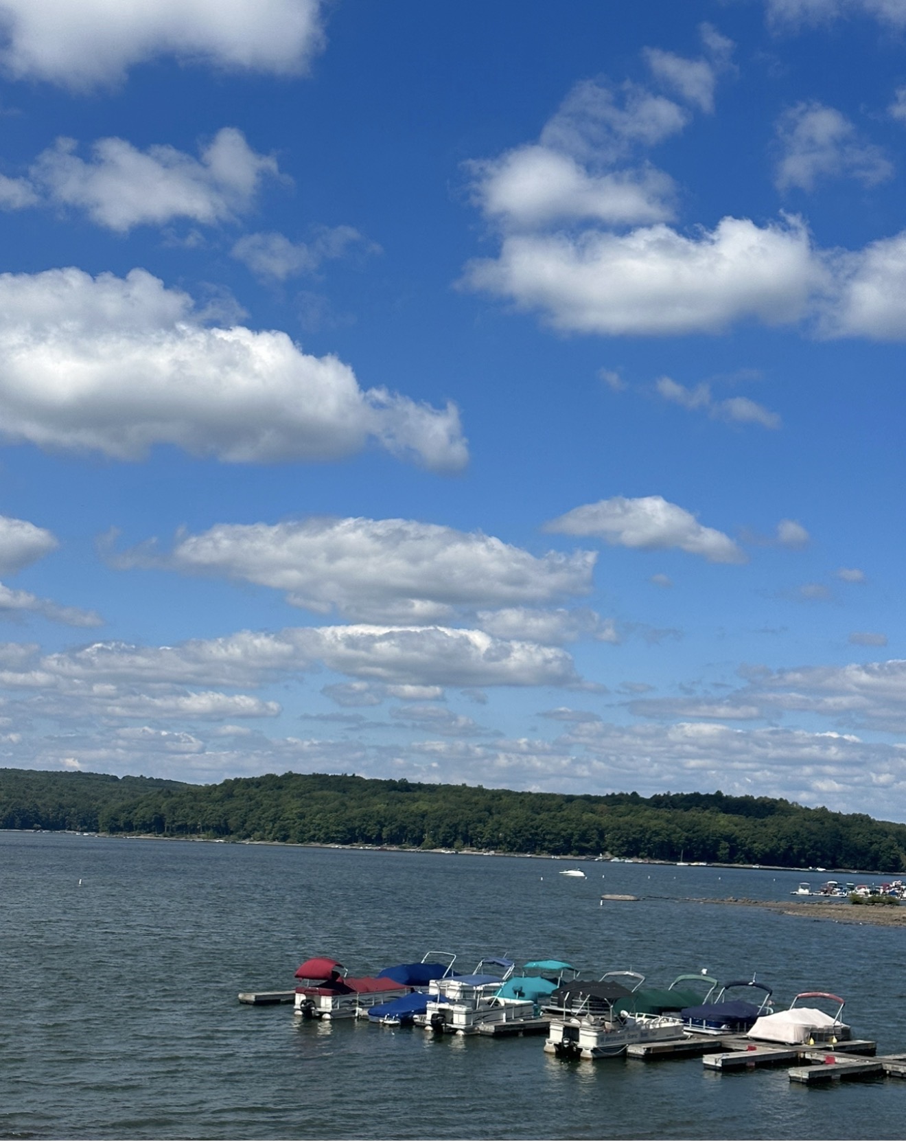 Pontoon boats lined up at the dock