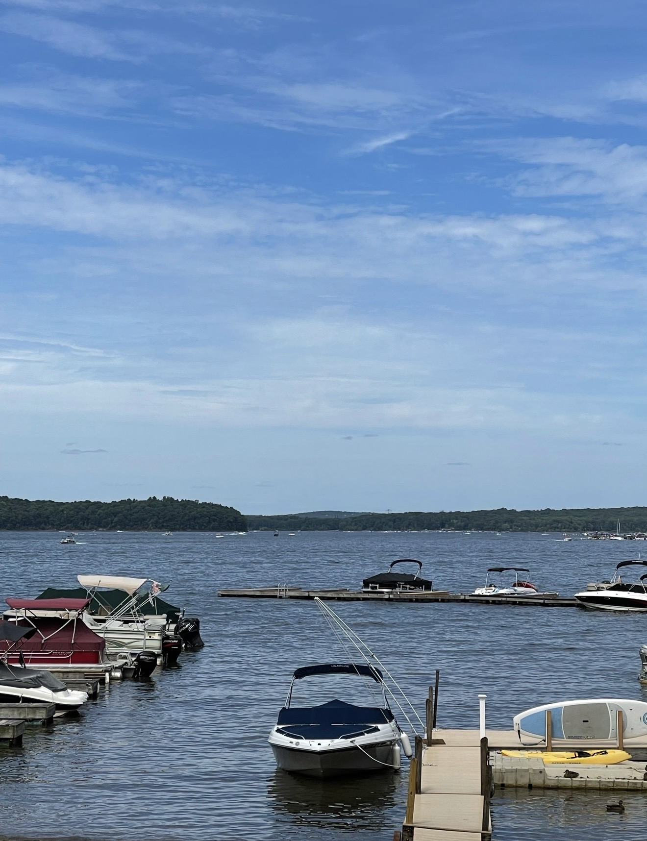 Marina full of boats on the lake